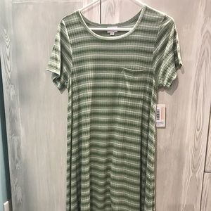 NWT Lularoe Carly Medium Green & White Stripe